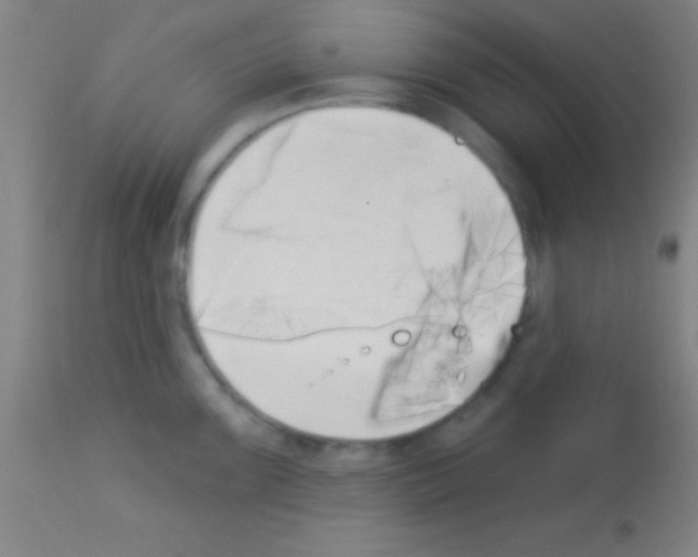 X0000113161099200910161238