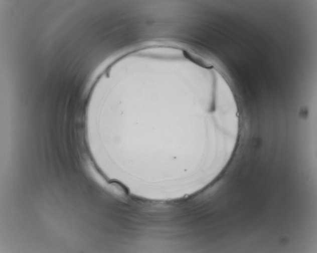 X0000113161100200910161238