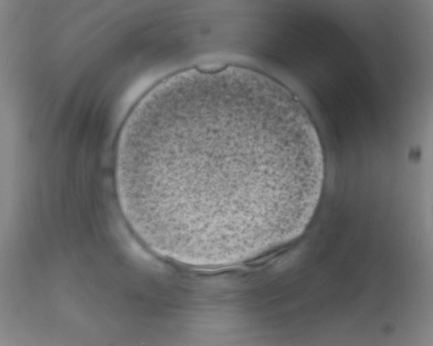 X0000113161102200910161238