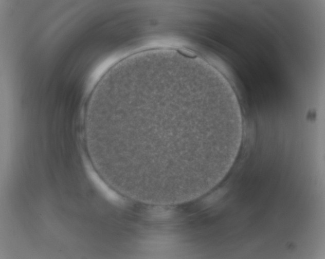 X0000113161103200910161238