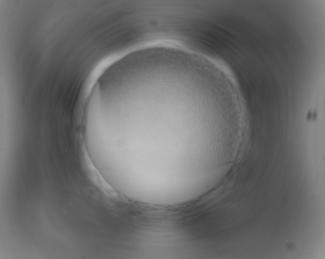 X0000113161104200910161238