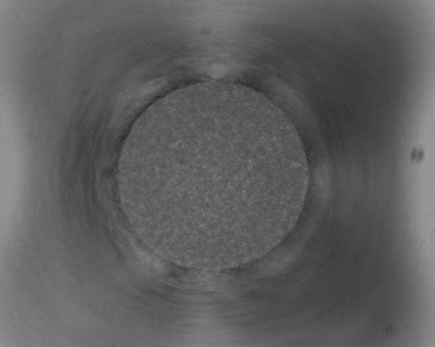 X0000113161105200910161237