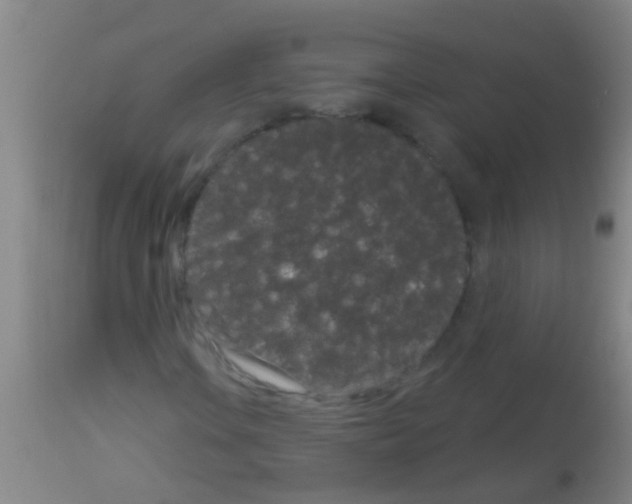 X0000113161106200910161237