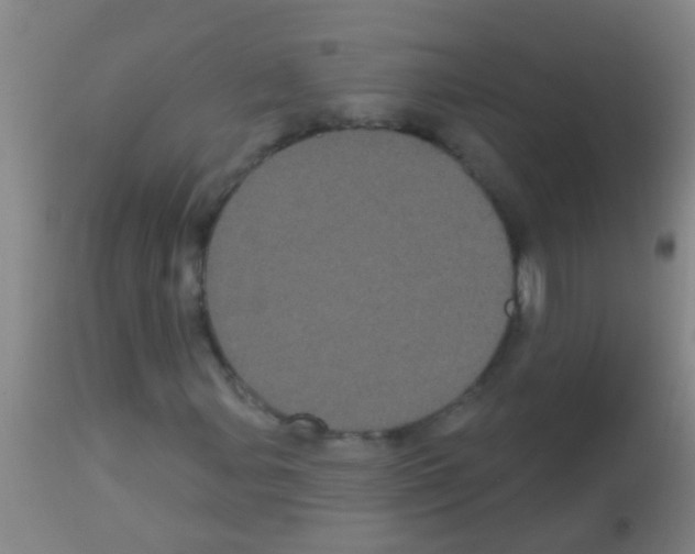 X0000113161107200910161237