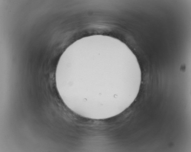 X0000113161109200910161237