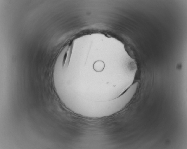 X0000113161110200910161237