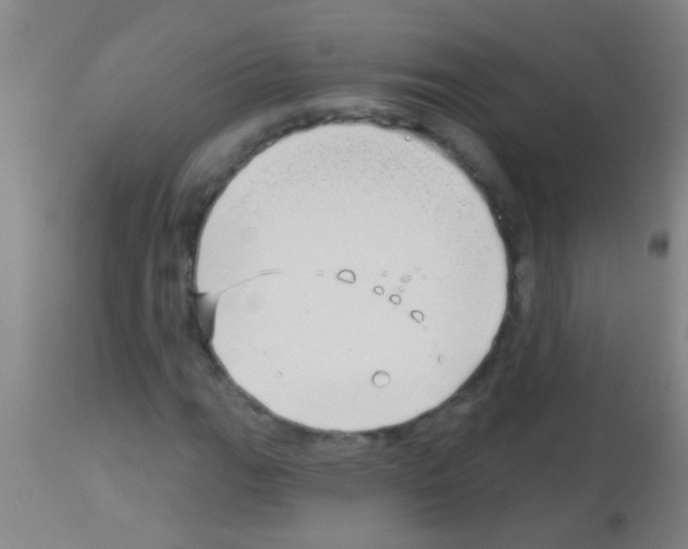 X0000113161111200910161237