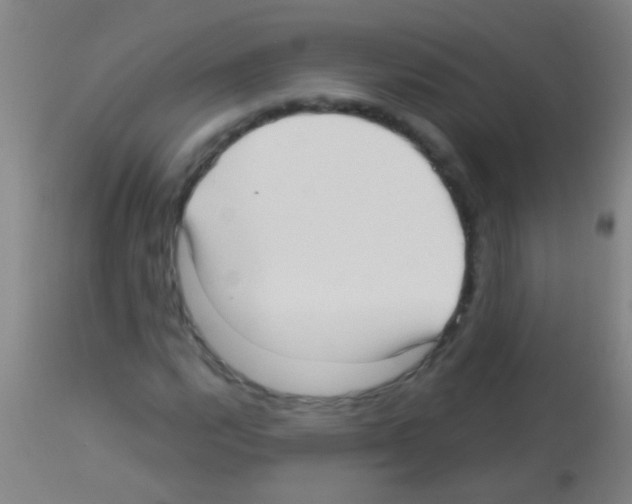 X0000113161112200910161237