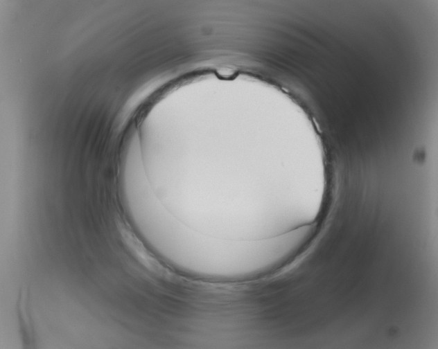 X0000113161114200910161237