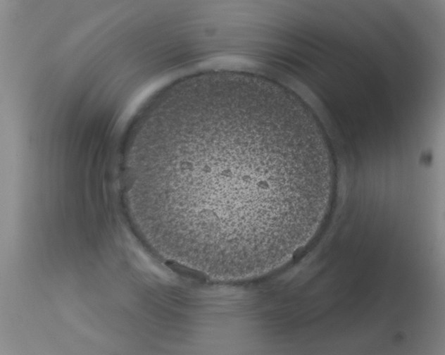 X0000113161115200910161237