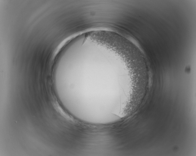 X0000113161116200910161237