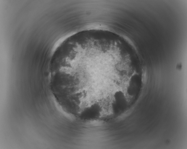 X0000113161117200910161237