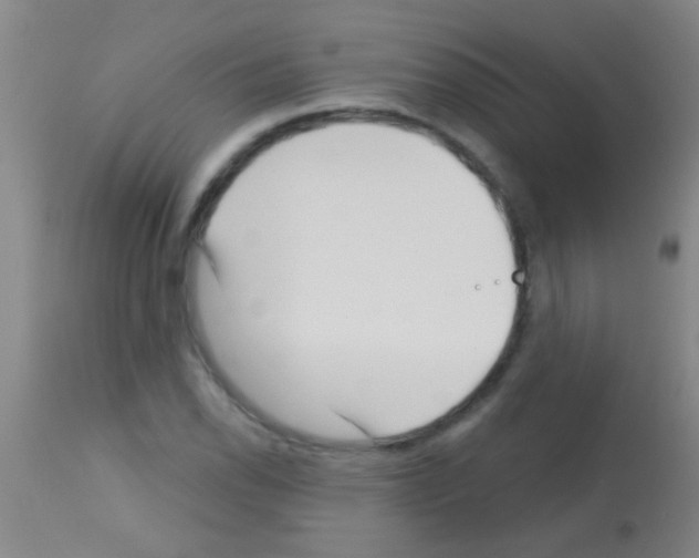 X0000113161118200910161237