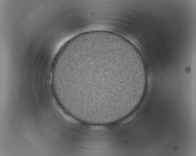 X0000113161119200910161237