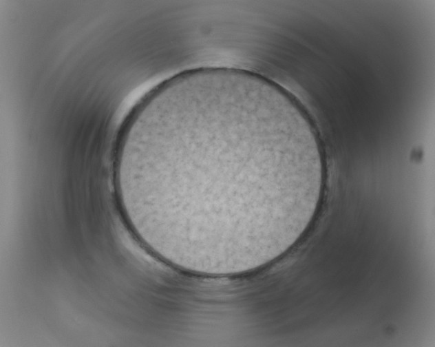 X0000113161120200910161237