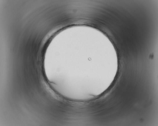 X0000113161122200910161237