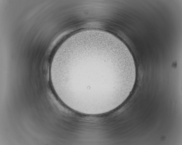 X0000113161123200910161237