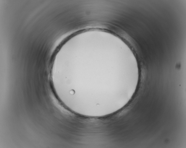 X0000113161124200910161237