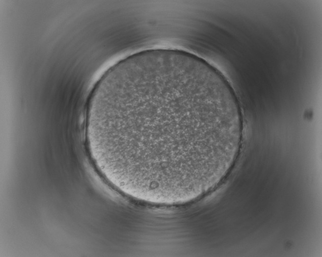 X0000113161126200910161237