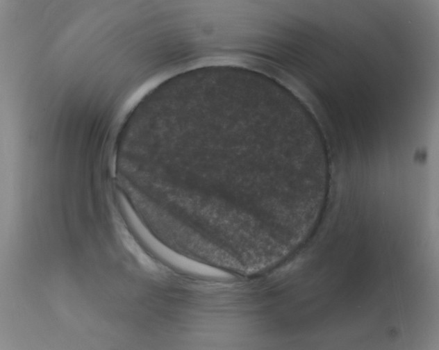 X0000113161127200910161237