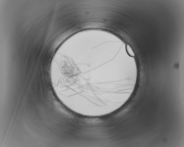 X0000113161129200910161237