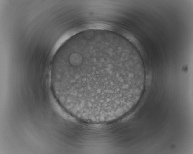 X0000113161130200910161237