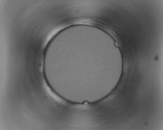 X0000113161131200910161237