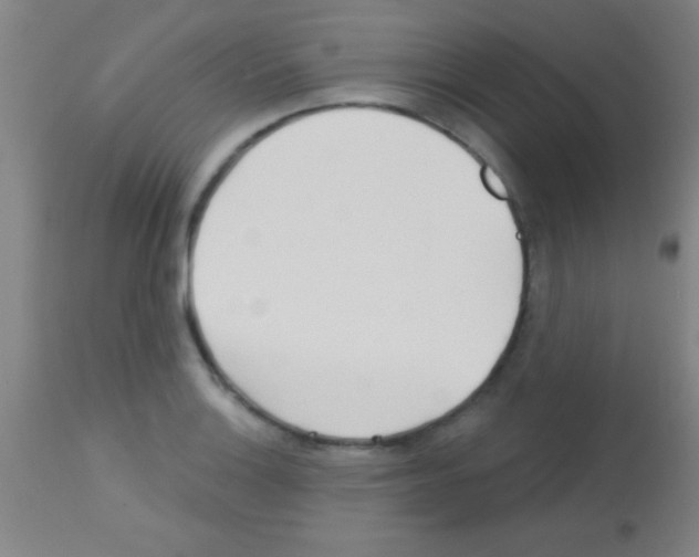 X0000113161132200910161237