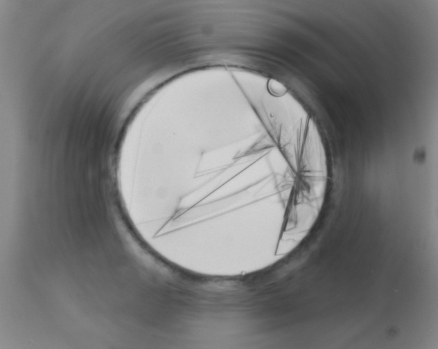 X0000113161133200910161237