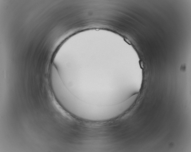 X0000113161134200910161237