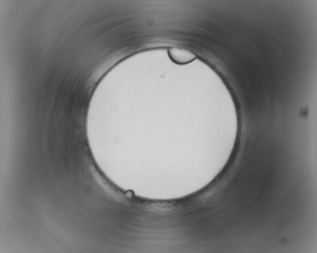 X0000113161137200910161237