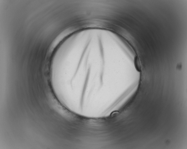 X0000113161138200910161237