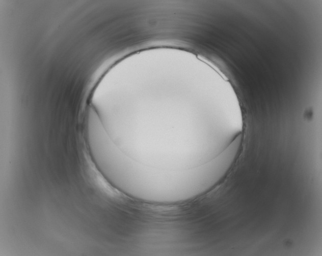 X0000113161140200910161237