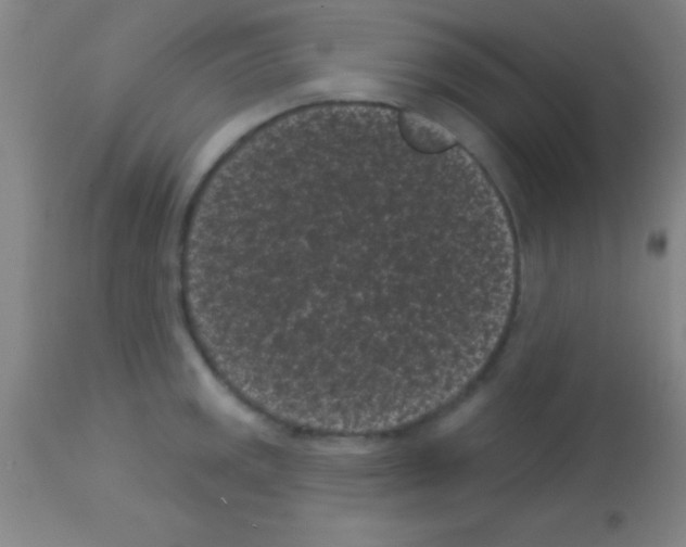 X0000113161141200910161237