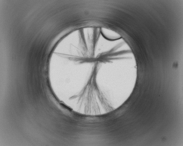 X0000113161142200910161237