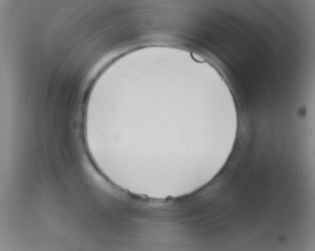 X0000113161147200910161237