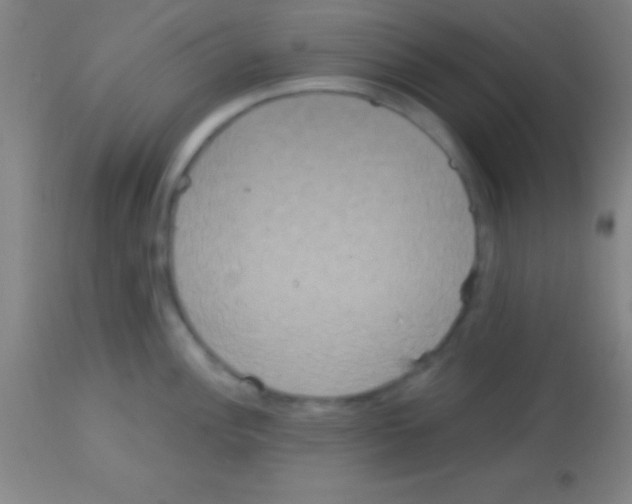 X0000113161148200910161237