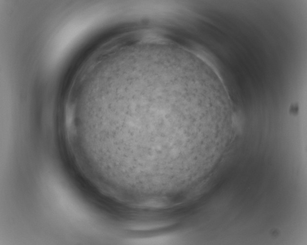 X0000113161150200910161237