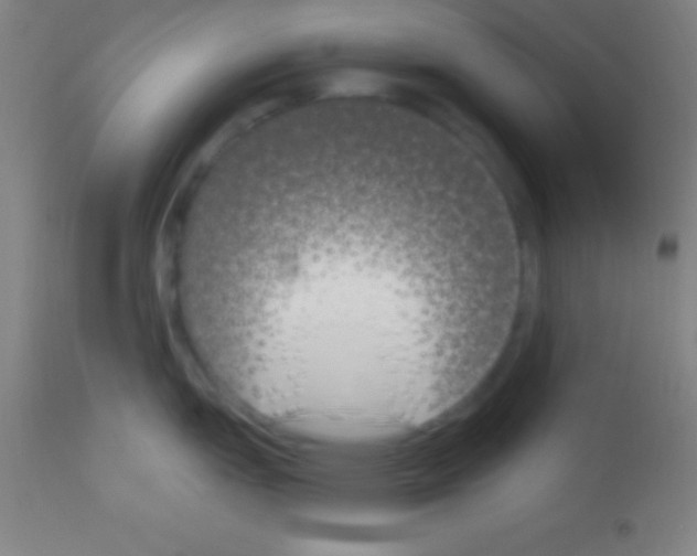 X0000113161151200910161237