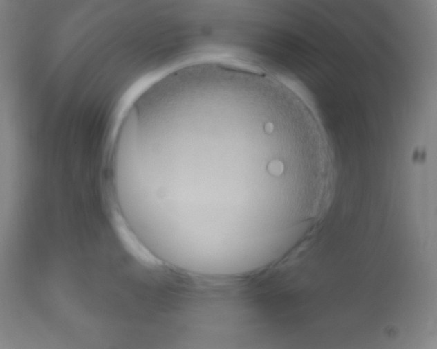 X0000113161152200910161237