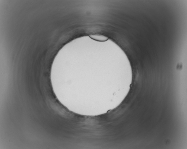 X0000113161153200910161237