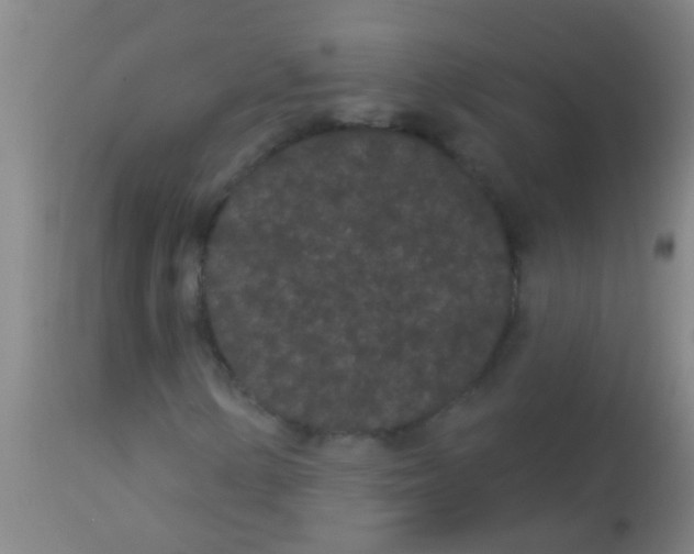 X0000113161154200910161237