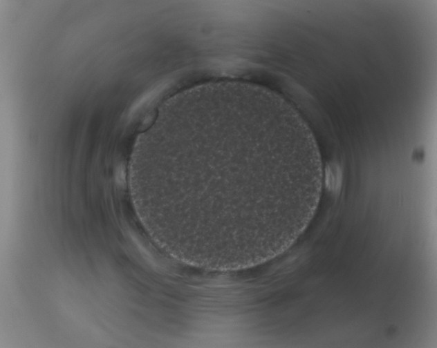 X0000113161155200910161237