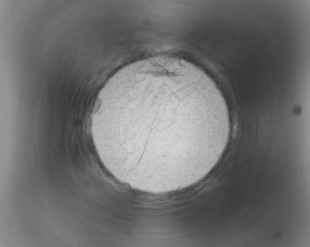 X0000113161156200910161237