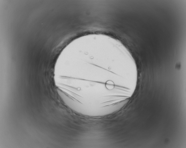 X0000113161157200910161237