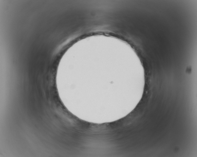 X0000113161159200910161237