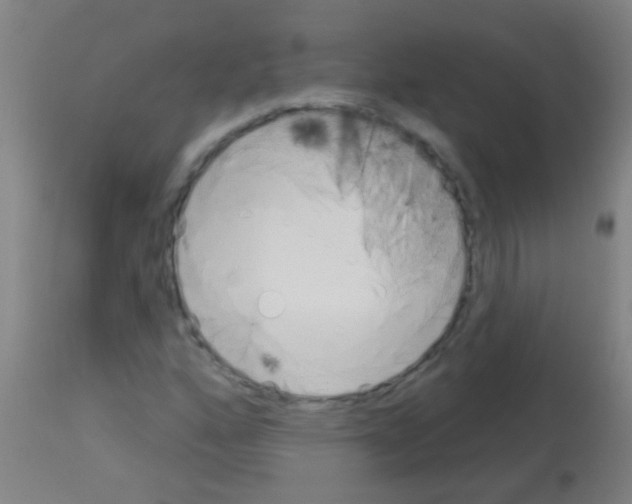 X0000113161160200910161237