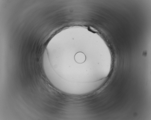 X0000113161161200910161237