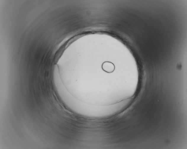 X0000113161162200910161237