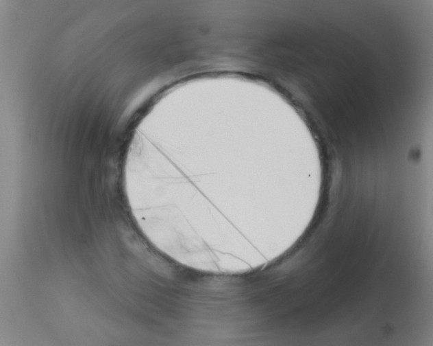 X0000113161163200910161237